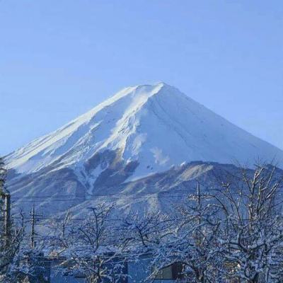 燃烧战歌果盘客户端下载